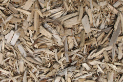 biomass boilers Cadole